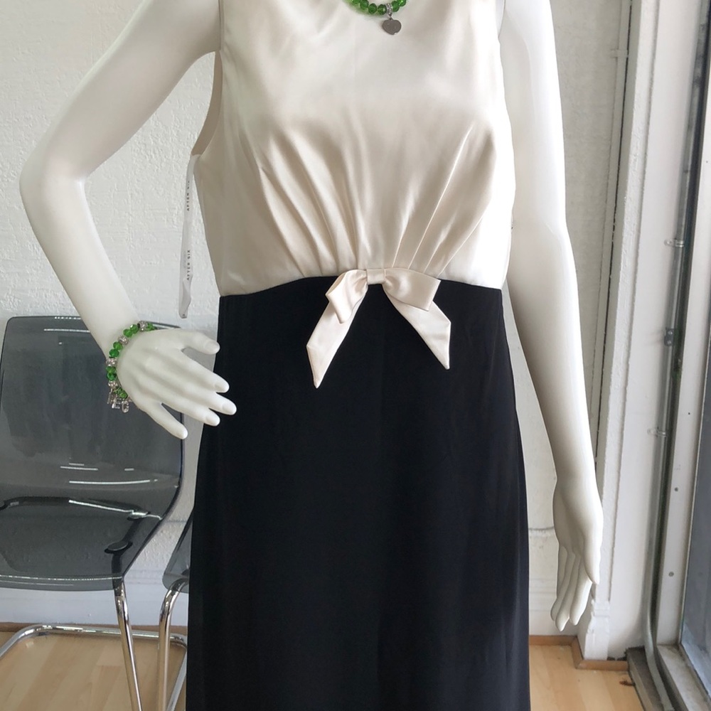 Full length evening dress brand new.